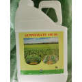 Weedicide Glyphosate acid 360g/l SL, 36% SL with best price